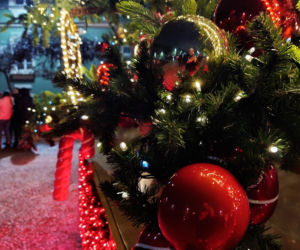 Choinka przed urzędem miasta w Szczecinie