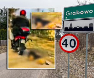 Mieczysław owinął sznurek na szyi psa i ciągnął po drodze. Szokujące zeznania! Już i tak nie żył