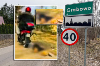 Mieczysław owinął sznurek na szyi psa i ciągnął po drodze. Szokujące zeznania! Już i tak nie żył