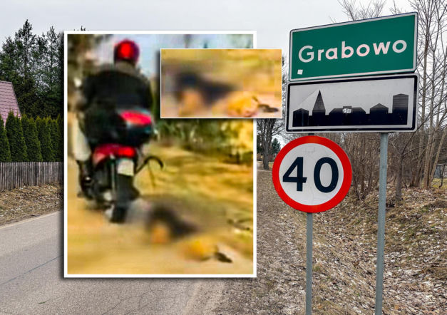 Mieczysław owinął sznurek na szyi psa i ciągnął po drodze. Szokujące zeznania! Już i tak nie żył