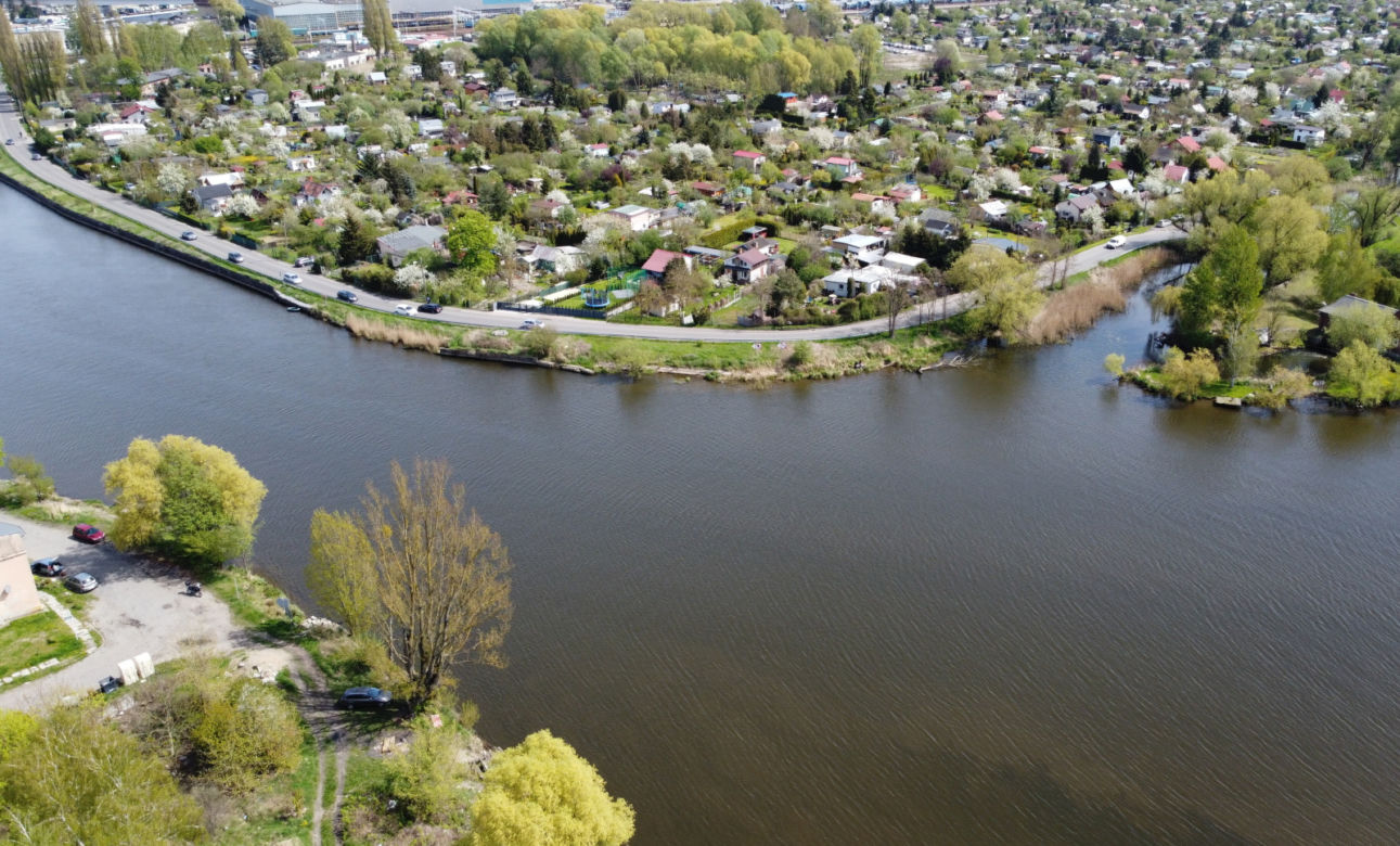 Czysta Odra
