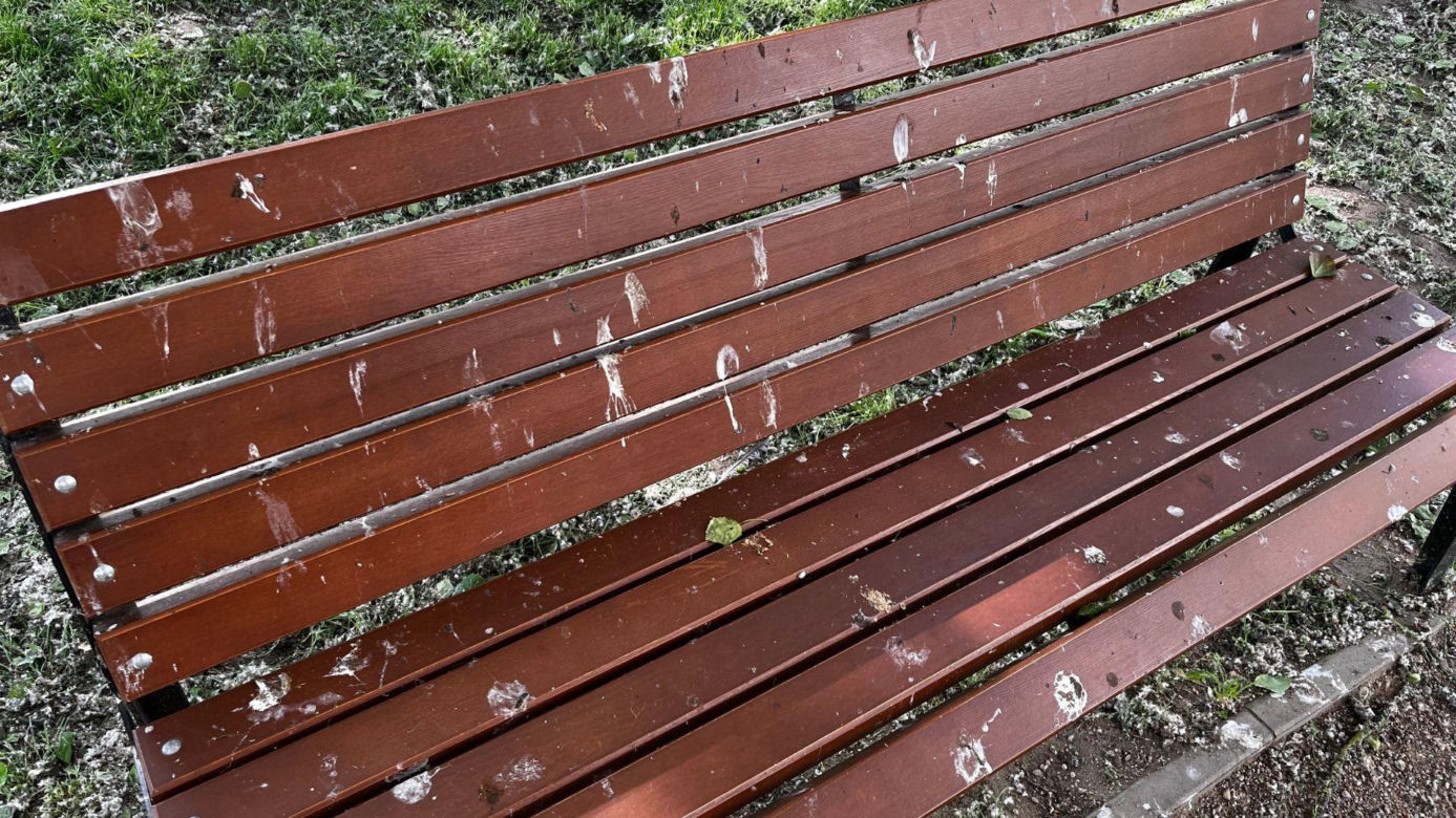 Park Lawendowy na osiedlu TBS w Białymstoku