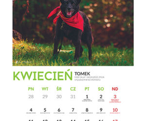 Kwiecień - kalendarz ze zwierzętami