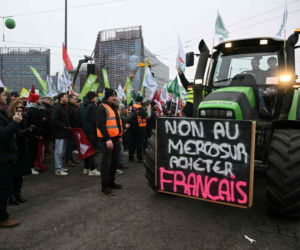 Wielkie protesty rolników w Europie! Zatrzymano Polaków