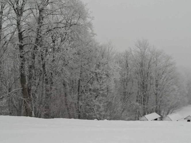 Majestatycznie, zimowo, jak w bajkowej Narnii. Tak Nowy Rok wita Święty Krzyż