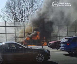 Seria groźnych pożarów pod Warszawą