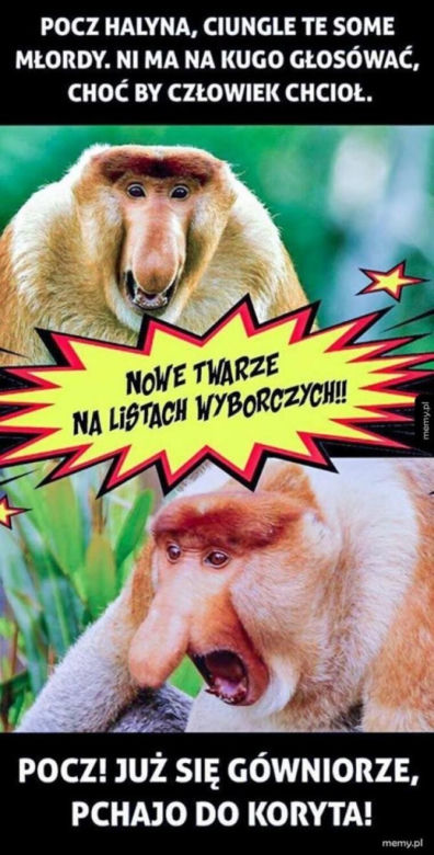Wybory samorządowe 2024. Te memy zostaną ci w pamięci na długo! 