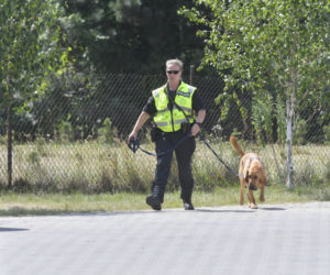 Do poszukiwań Dawidka zostały włączone specjalne psy niemieckiej policji