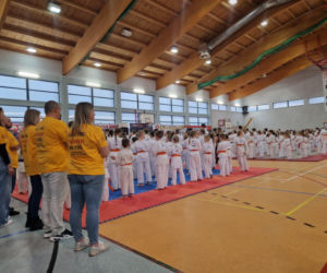 V Kyokushin Cup