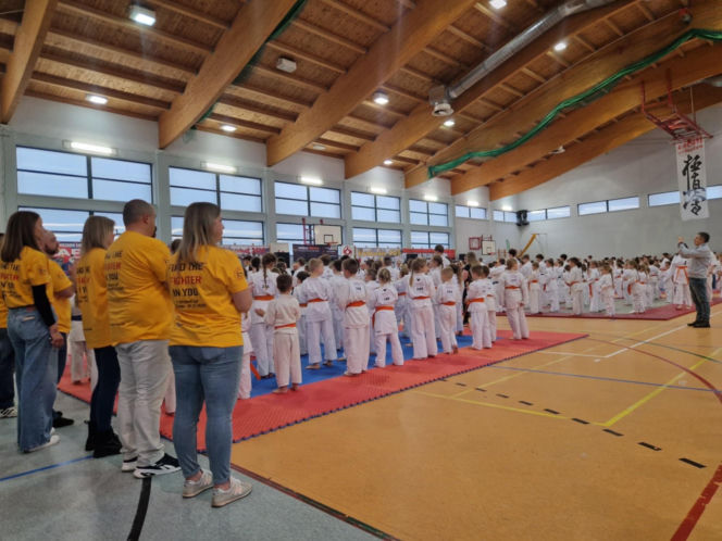 V Kyokushin Cup