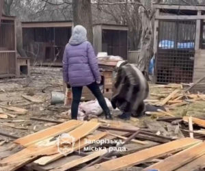 Atak na schronisko dla zwierząt Zaporoże