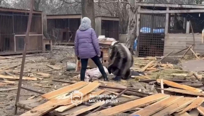 Atak na schronisko dla zwierząt Zaporoże