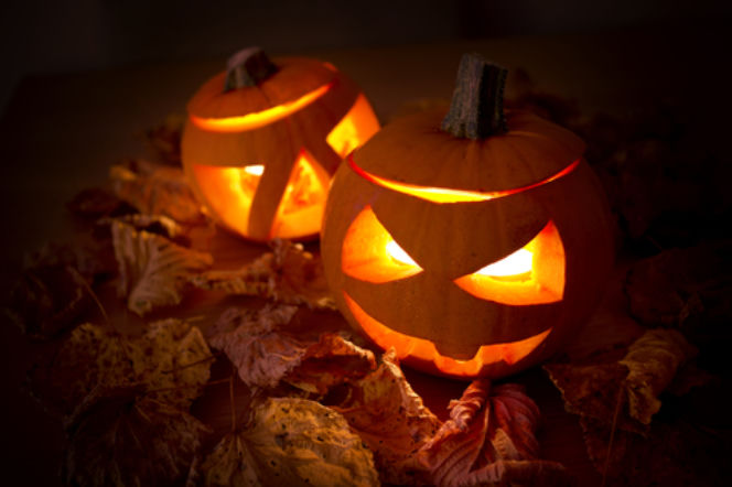 Halloween, dynie