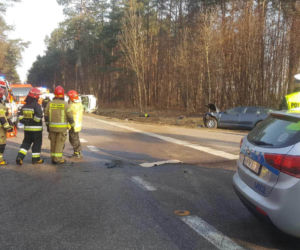 Korzeniste. Wypadek na DK 63. Kierujący osobówką zderzył się z busem [ZDJĘCIA]