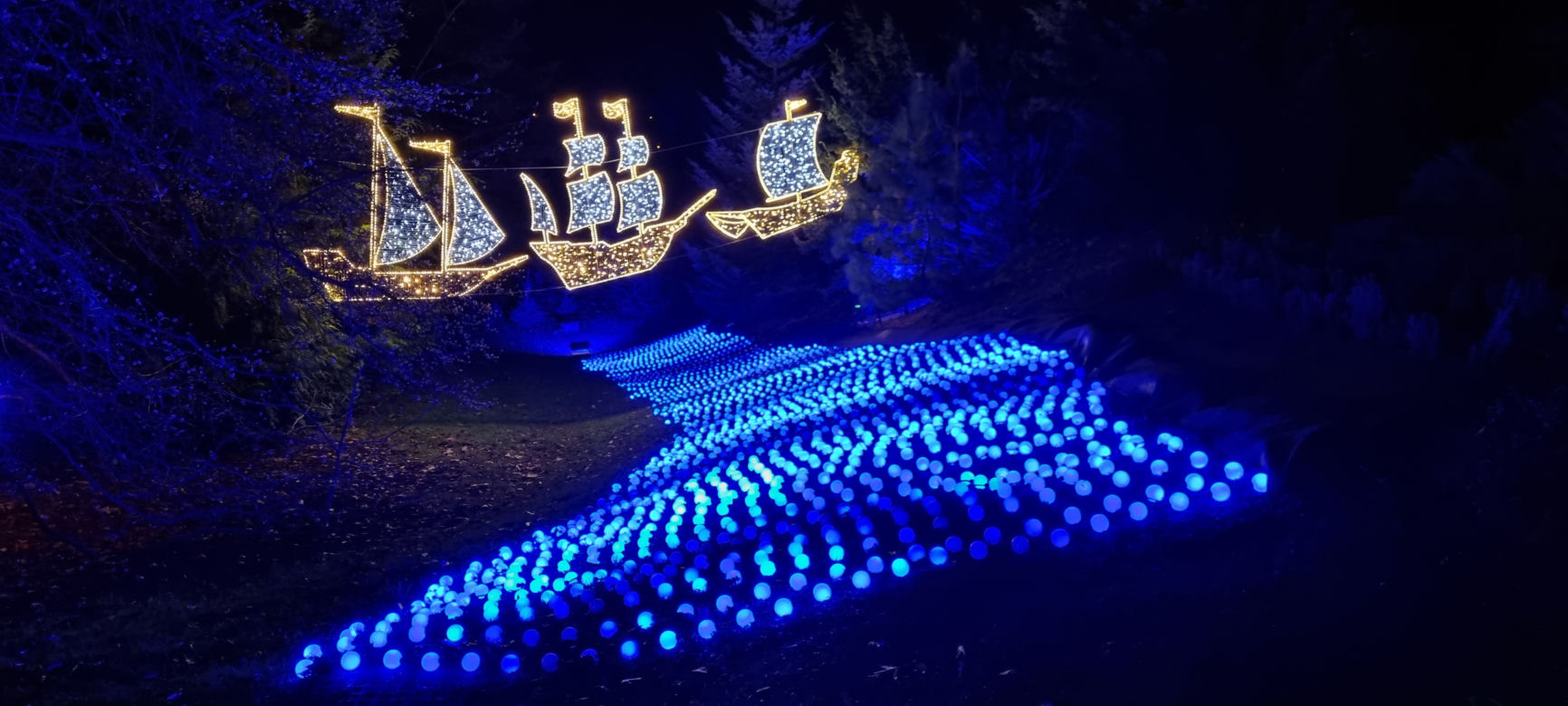 Ogród Botaniczny po zmroku zamienia się w magiczny ogród [GALERIA]