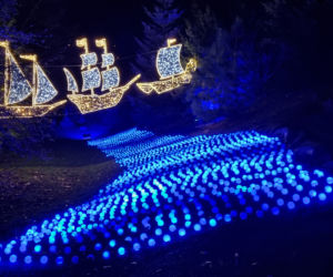 Ogród Botaniczny po zmroku zamienia się w magiczny ogród [GALERIA]