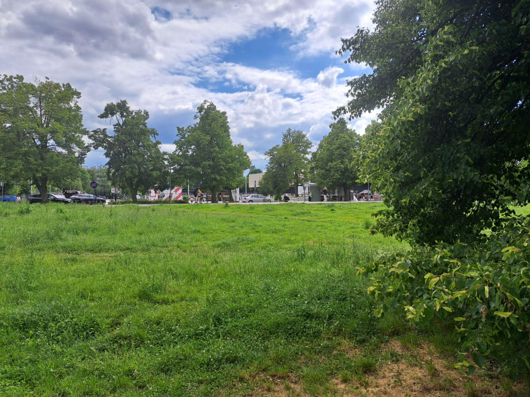 Błonia w Krakowie