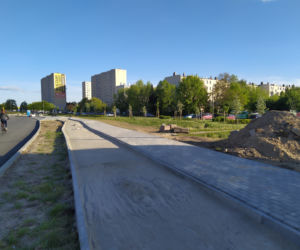 Teren łąki kwietnej przy remontowanej ul. Monte Cassino oraz postępy remontu - ZDJĘCIA