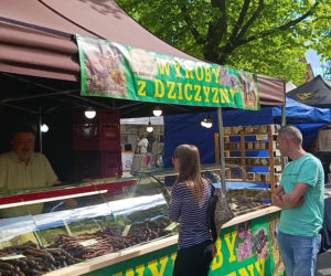 Piknik nad Odrą