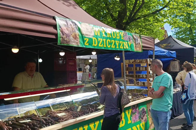 Piknik nad Odrą
