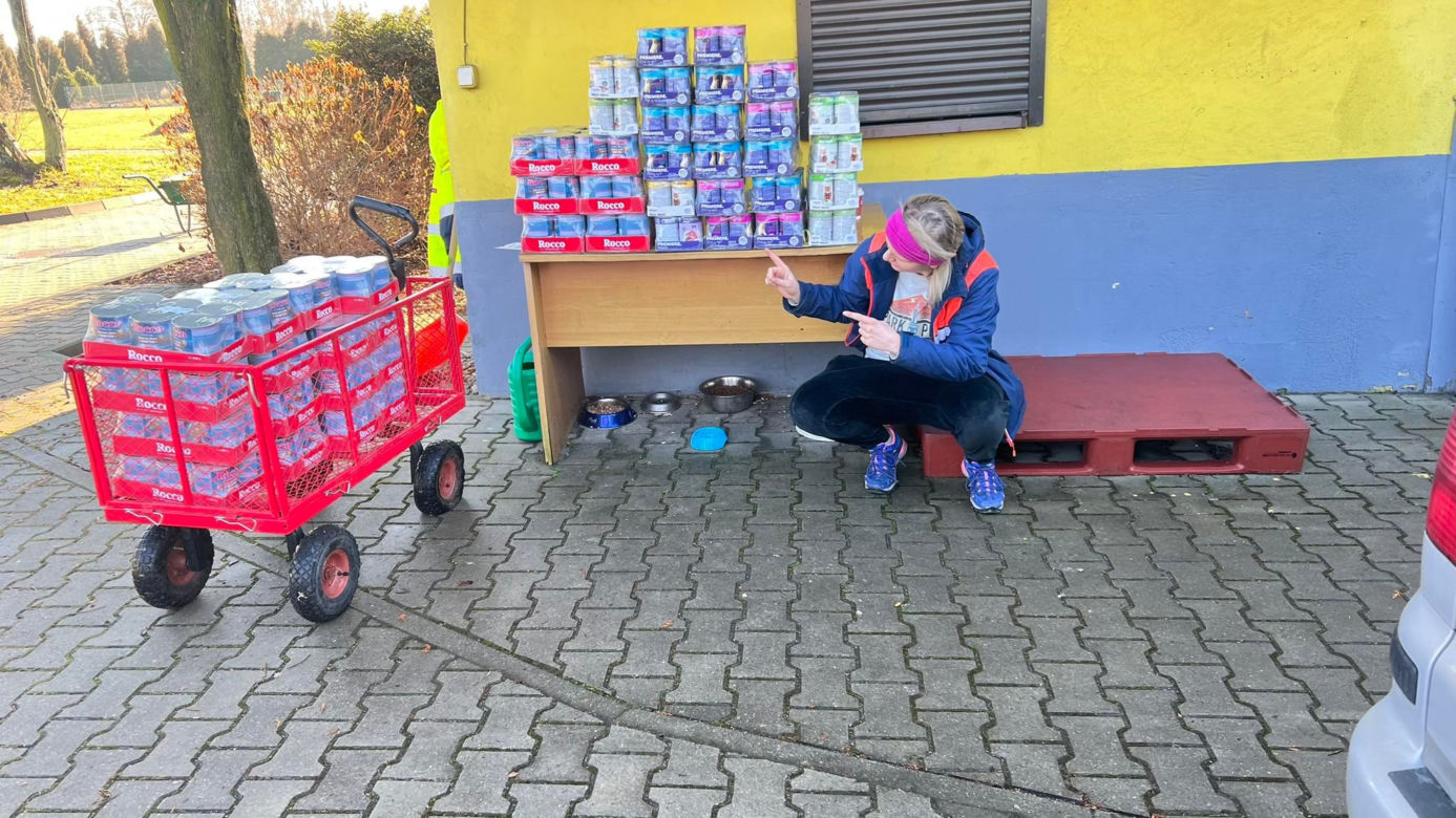 Malwina regularnie organizuje zbiórki dla jastrzębskiego schroniska