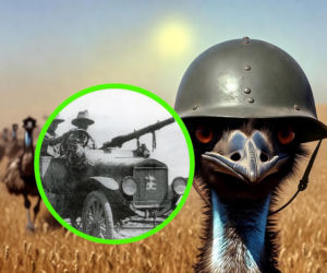 Jak ludzie wypowiedzieli wojnę emu i co z tego wynikło? 