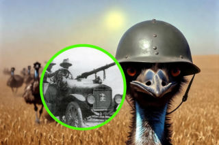 Jak ludzie wypowiedzieli wojnę emu i co z tego wynikło? 