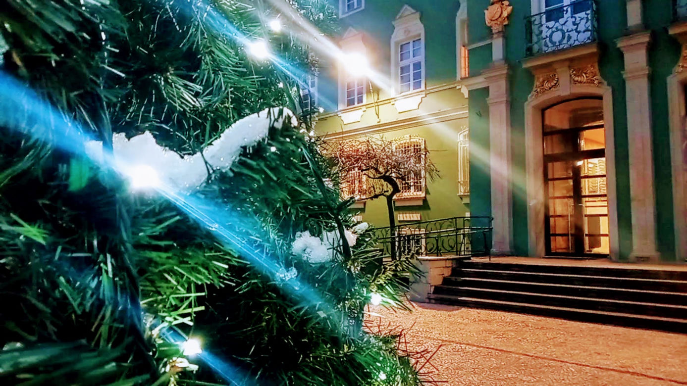 Miejska choinka rozbłysła przed szczecińskim magistratem