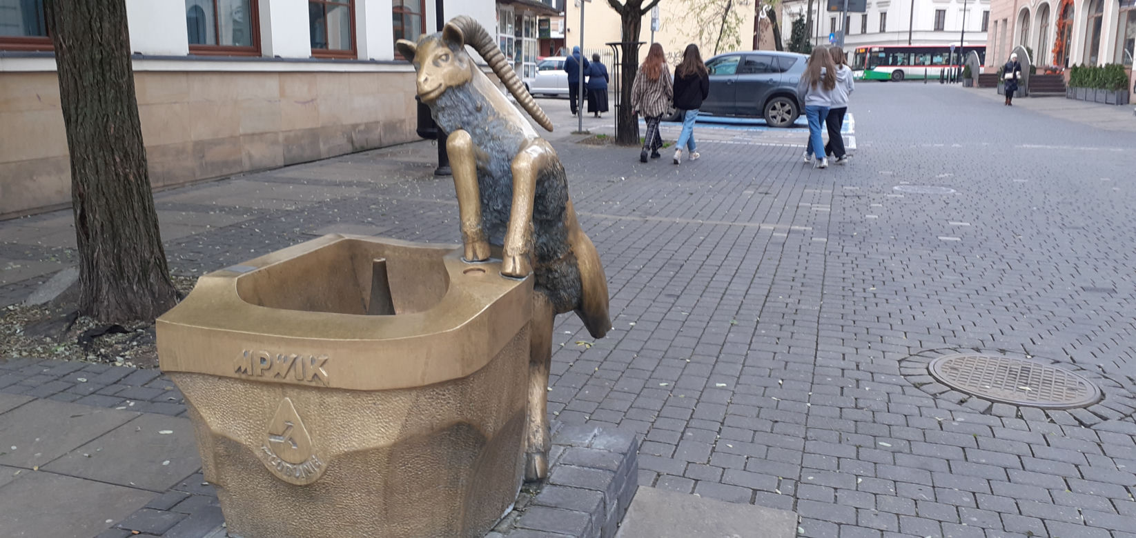 Ten koziołek nie skakał, a ma złamaną nóżkę. Co dalej z lubelskim poidełkiem? 