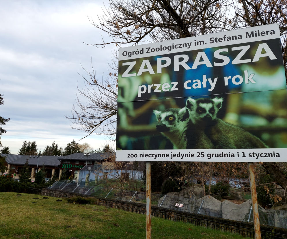 zamość