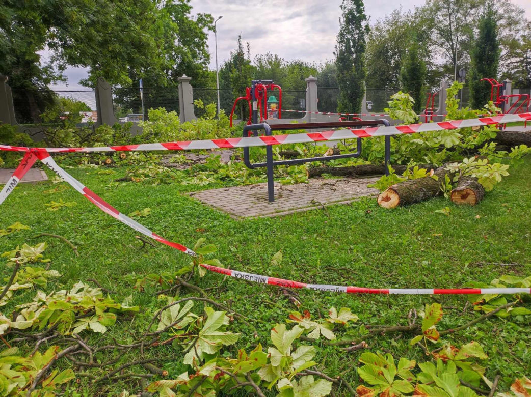 Tarnów. Dziewczynka uderzona przez zerwany konar. Koszmar na placu zabaw w Parku Strzeleckim