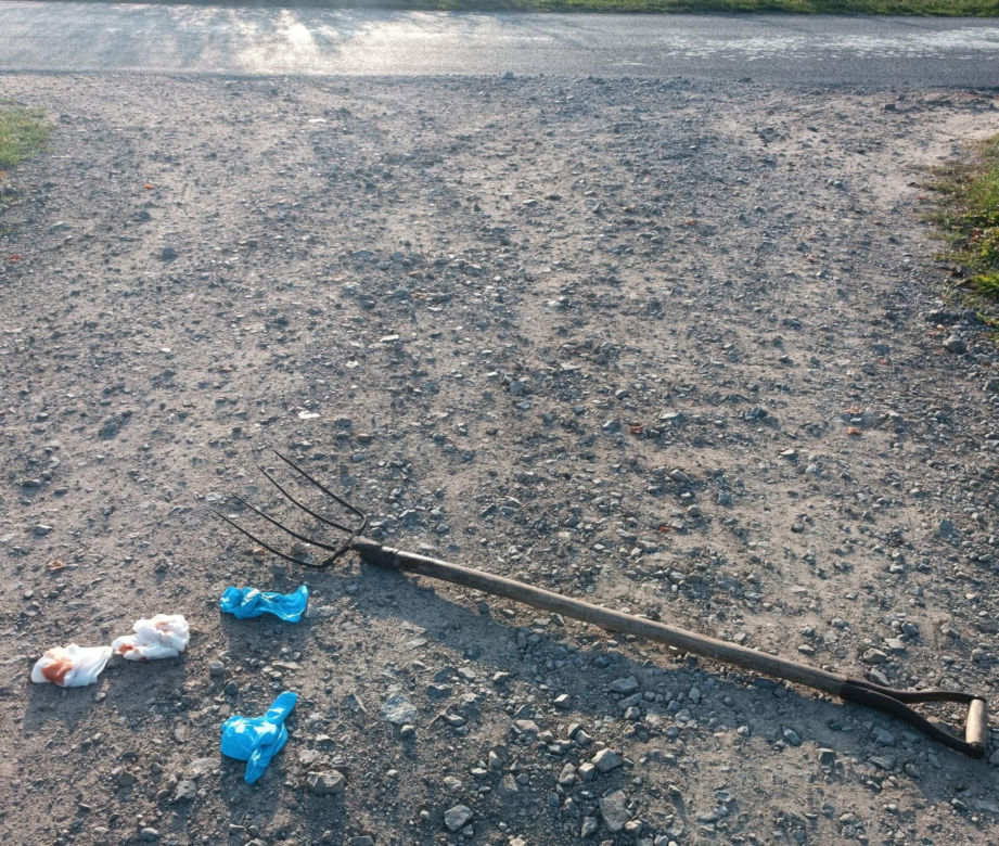 Karniszem, widłami, poduszką. Tym warszawscy mordercy zabijali swoje ofiary