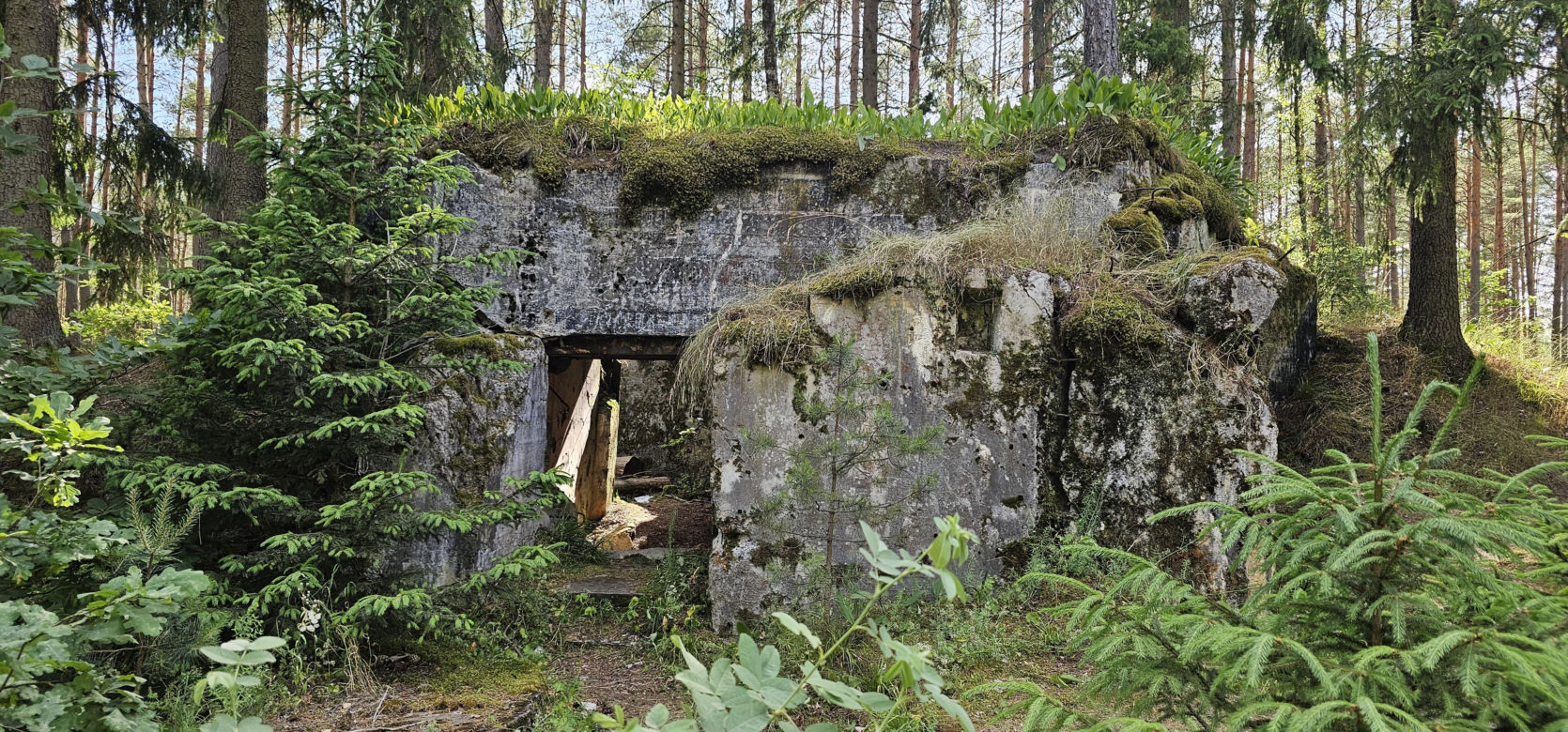 Odwiedziłam jeden z piękniejszych powiatów na Mazurach. To prawdziwy „szlak bunkrowy”