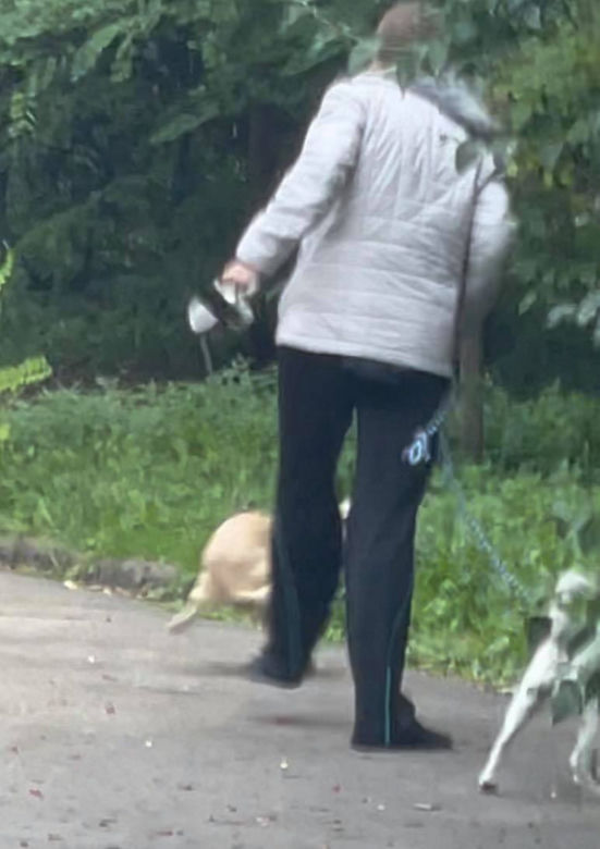 Bestialsko znęcała się nad psami. Po kopnięciu, zwierze wydało głośny pisk