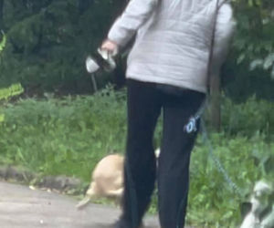 Bestialsko znęcała się nad psami. Po kopnięciu, zwierze wydał głośny pisk