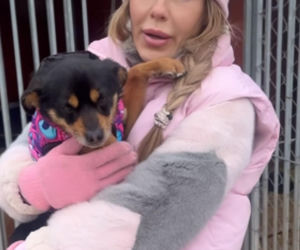 Doda ratuje psy przed mrozem