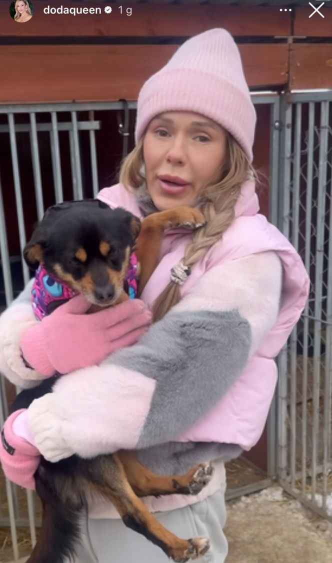 Doda ratuje psy przed mrozem