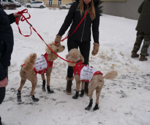 Schronisko dla psów w Sobolewie zamknięte. Jeszcze w sobotę, 24 stycznia, protestowali pod nim mieszkańcy [ZDJĘCIA].