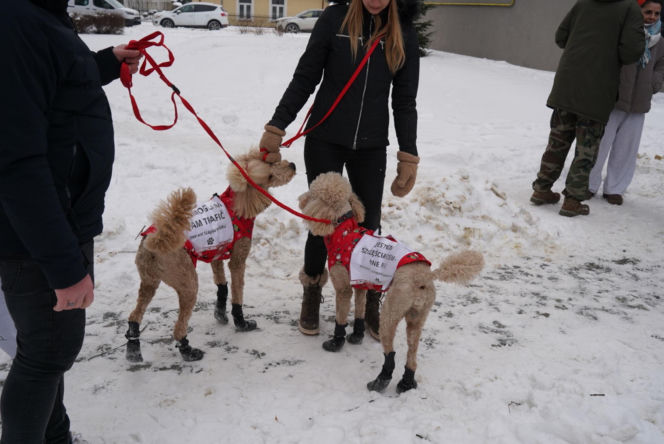 Schronisko dla psów w Sobolewie zamknięte. Jeszcze w sobotę, 24 stycznia, protestowali pod nim mieszkańcy [ZDJĘCIA].