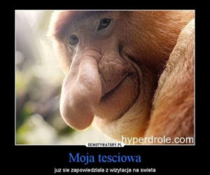 Dzień Teściowej 2026