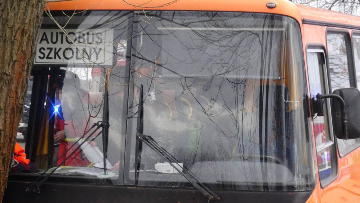 Dramat pod Legionowem. Autobus z dziećmi roztrzaskał się o drzewo. Są ranni
