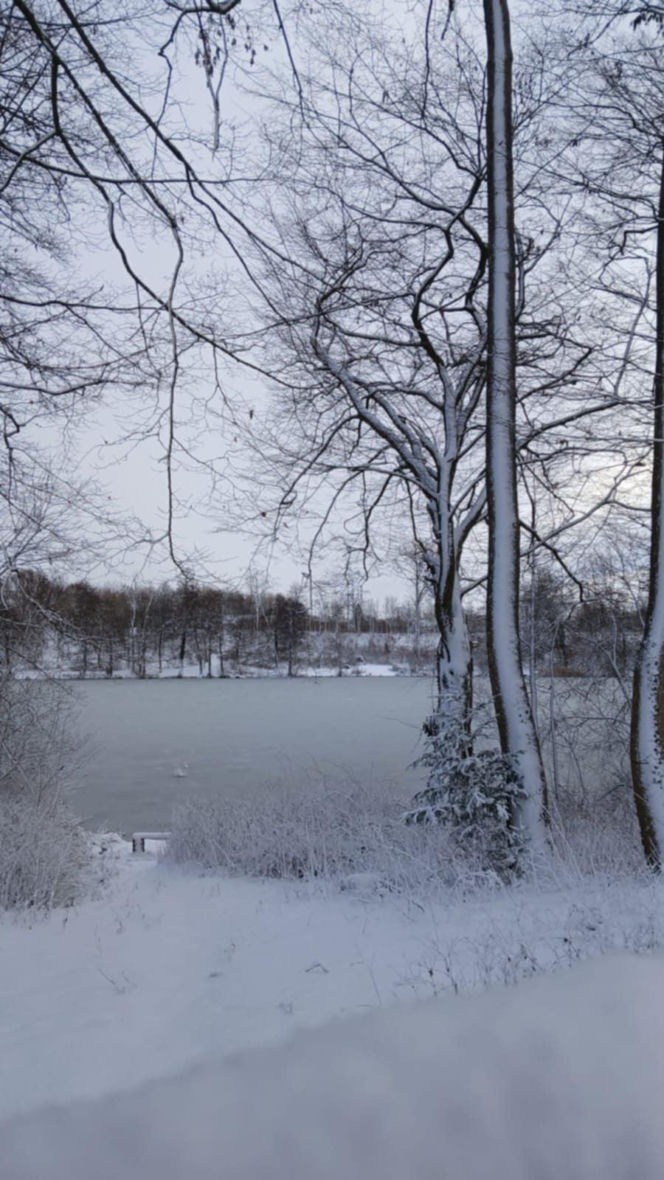 Atak zimy na wybrzeżu. Burze śnieżne, zasypane drogi i alerty IMGW