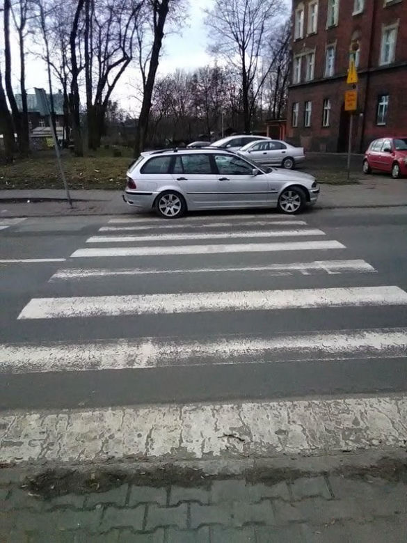 Parkują na przejściach dla pieszych, skrzyżowaniach i... przystankach autobusowych. A Straż Miejska jest bezlitosna [GALERIA]