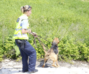 Zbrodnia w Trawnikach. Zamordował żonę i uciekł? Policjanci sprowadzili psy z Saksonii