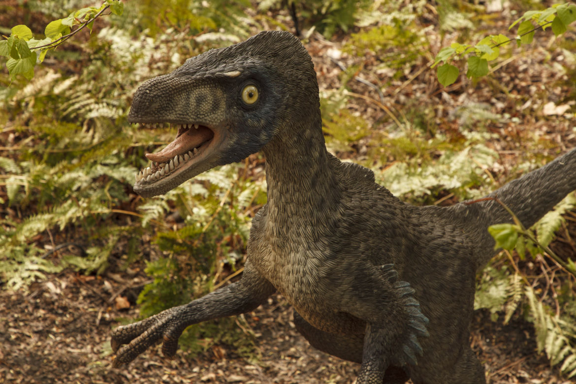 Dinozaury opanowały wrocławski ogród botaniczny