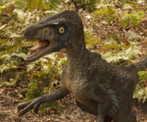 Dinozaury opanowały wrocławski ogród botaniczny