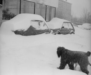 Jak atak zimy w 1978/79 pamiętają mieszkańcy Bydgoszczy?