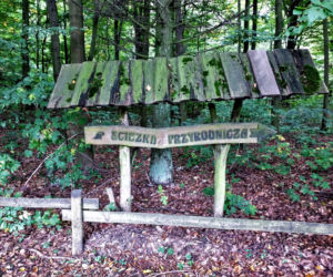 To miasto w województwie łódzkim należało do misjonarza. Jego mieszkańcy słynęli z wyrobu piwa