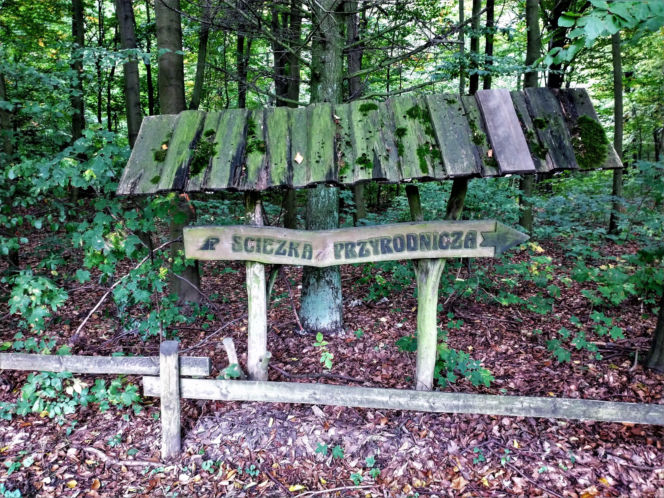 To miasto w województwie łódzkim należało do misjonarza. Jego mieszkańcy słynęli z wyrobu piwa