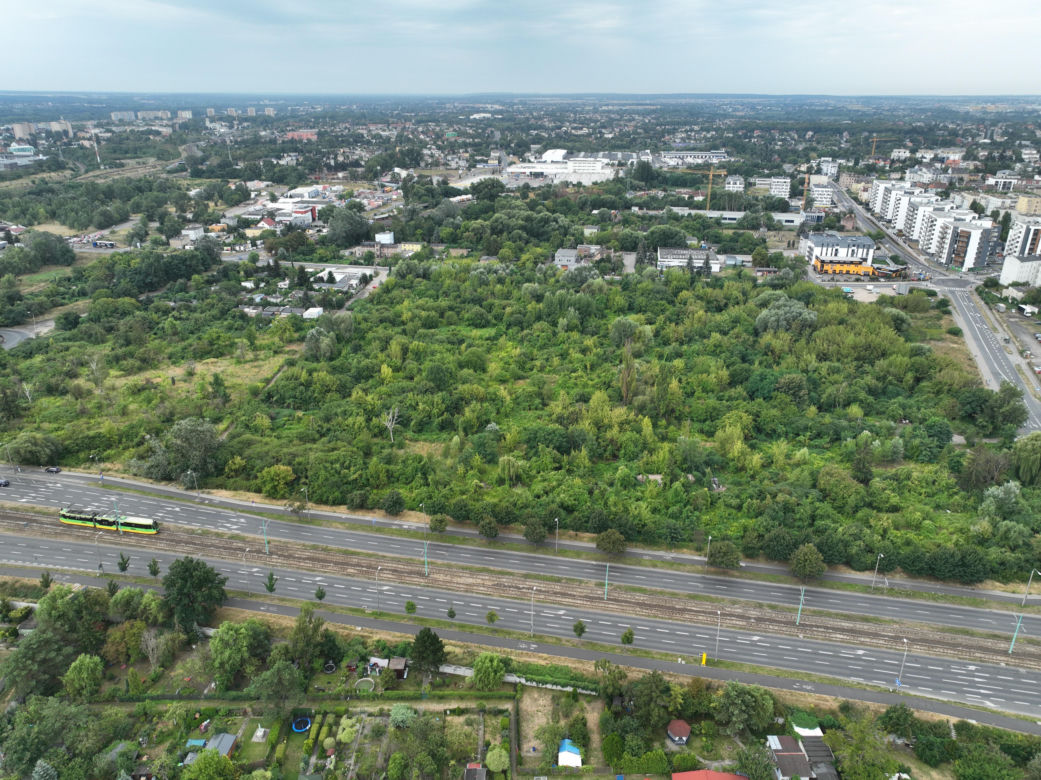 Społecznicy walczą o nowy park w Poznaniu
